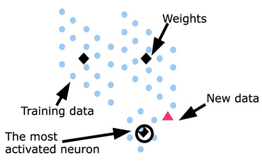 Neuron response to new input data